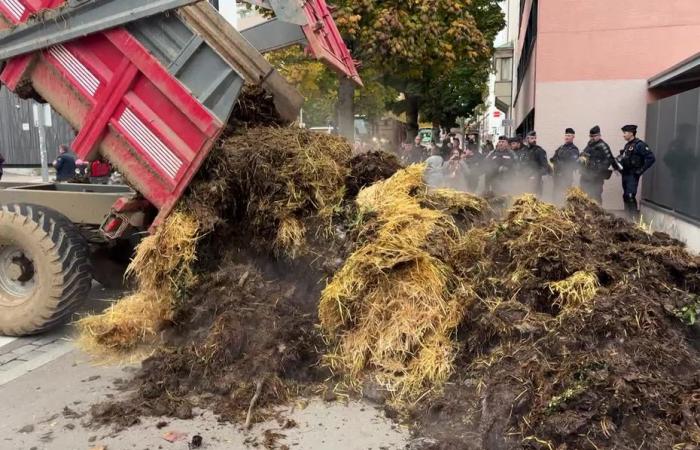 Los agricultores del Alto Rin encenderán piras a partir del jueves para expresar su angustia.