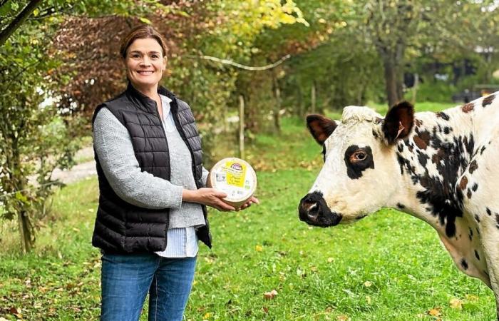 “Una gran recompensa”: su granja de Ille y Vilaine gana tres medallas por su queso de leche cruda