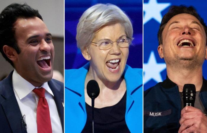 Elizabeth Warren se vuelve sarcástica después de que Trump elige a Musk y Ramaswamy para DOGE: ‘Sí, esto parece REALMENTE eficiente’