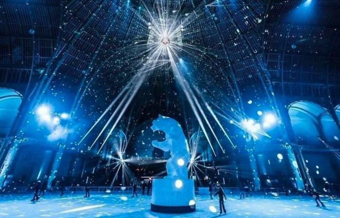 ¡La pista de hielo más bella del mundo regresa al Grand Palais! ¡Reserva tus plazas ahora!