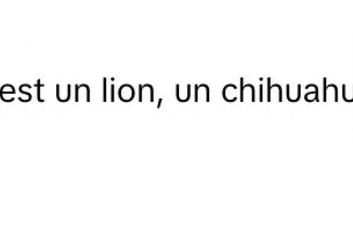 Christine Beaulieu recuerda la saga de Todo el mundo habla de ello y explica qué es un hombre realmente fuerte