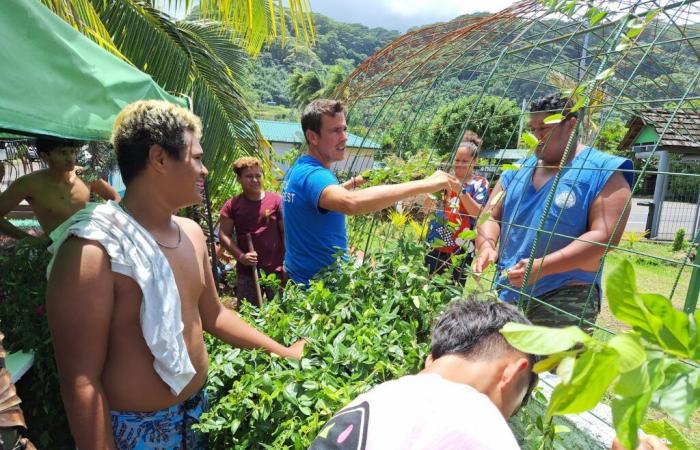 Una ola vegetal toma forma en Vairao