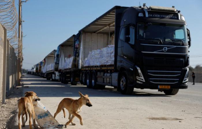 Franja de Gaza | ¿Por qué la ayuda humanitaria está llegando lentamente?