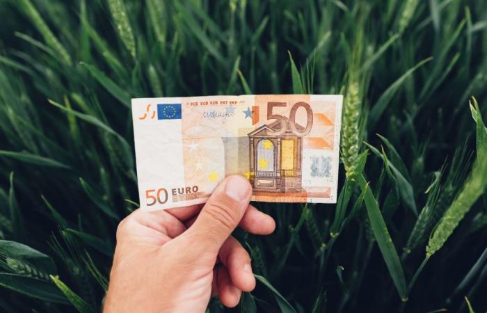 ¿Cuál es el salario medio de un agricultor en Bélgica?