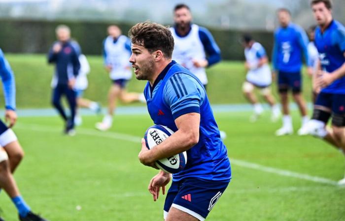 aquí la probable composición del XV de Francia contra los All Blacks