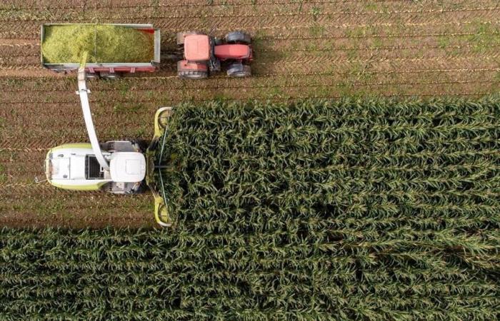 Robos de GPS agrícolas en Maine y Loira: su teléfono se limitó a las granjas objetivo