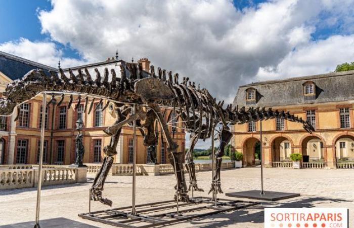 Vulcano, el dinosaurio más grande vendido en subasta este sábado 16 de noviembre en Dampierre-en-Yvelines