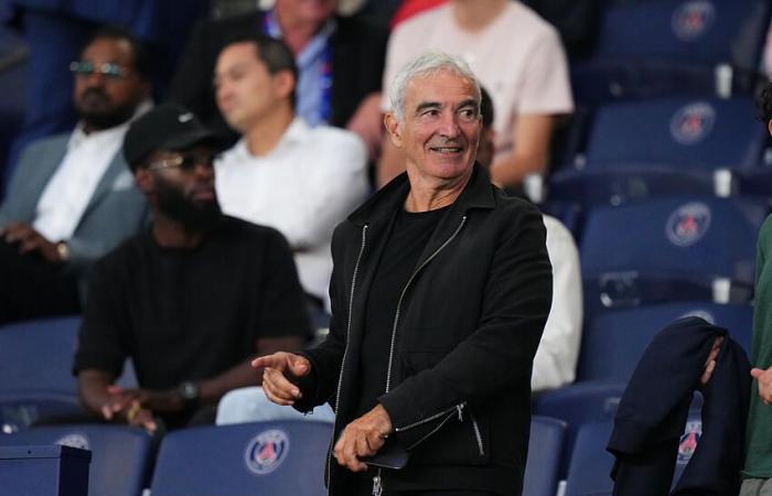 Raymond Domenech vuelve a atacar a la ASSE