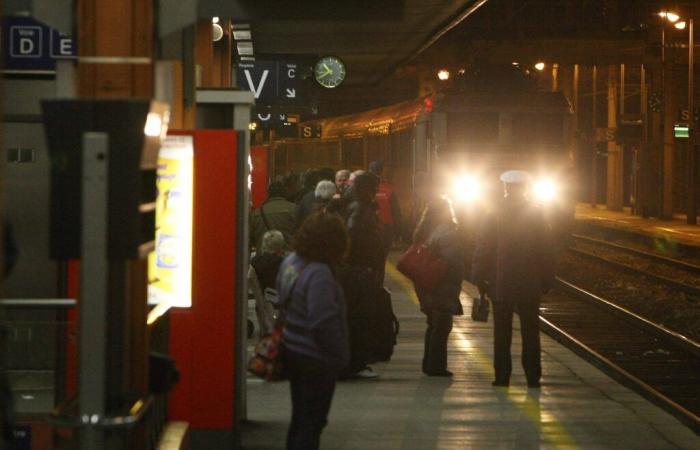 Cómo la fuga de Levis E., sospechoso de ser el “asesino de bloques de hormigón”, fue detenida por una toulonesa a bordo de un tren