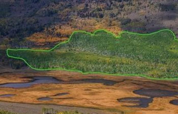 ¿Qué tan dañina es la tecnología digital para nuestro medio ambiente?