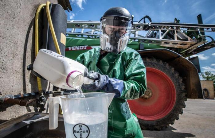 ¿Se exportan pesticidas prohibidos desde Francia? El Consejo de Estado se apoderó