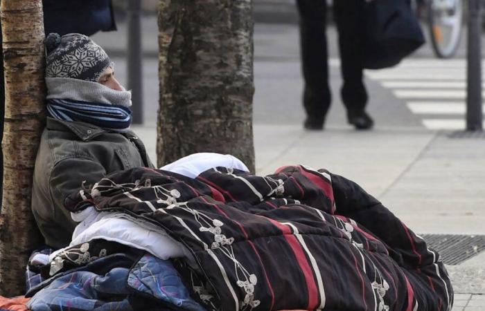 Asesinato en Lyon: el sospechoso podría haber atacado a otras personas sin hogar