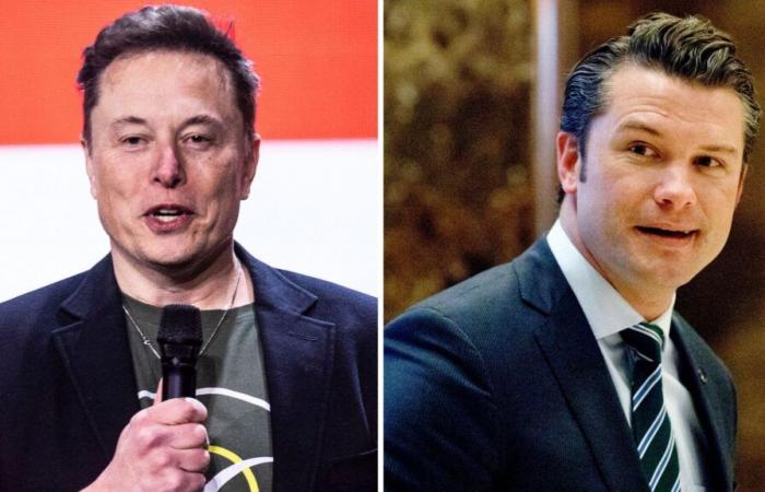 Elon Musk elegido para encabezar el nuevo departamento de eficiencia de Trump, mientras el presentador de Fox News es elegido secretario de Defensa | Noticias de EE. UU.