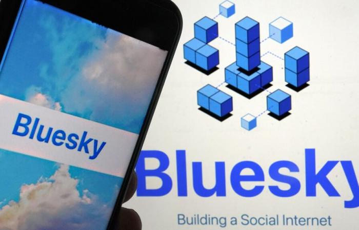 Alternativa a X: Bluesky ha ganado 1 millón de usuarios desde las elecciones estadounidenses