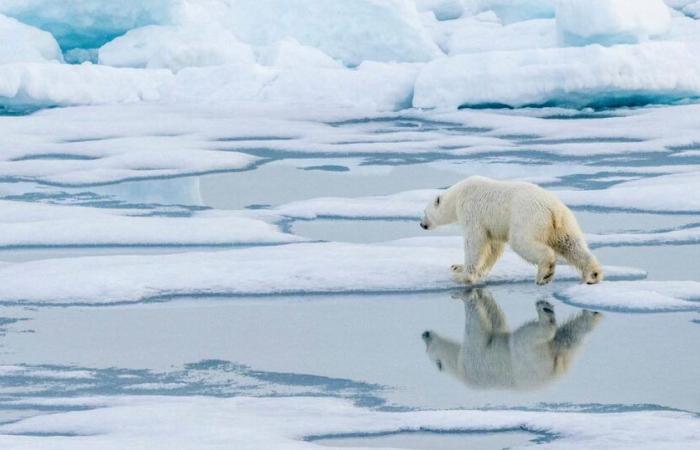 “La negación climática suele basarse en creencias falsas”