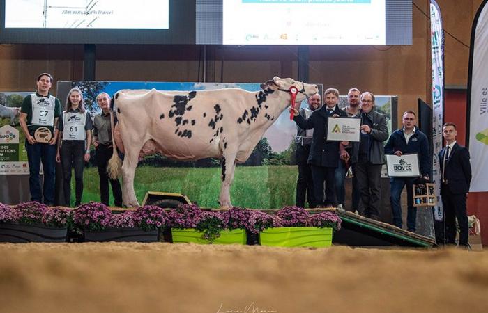 Ganadores del concurso departamental de Orne 2024