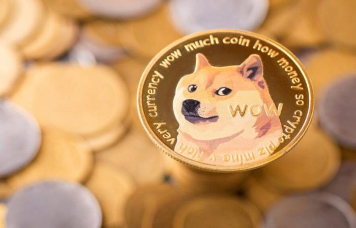 Predicción del precio de Dogecoin (DOGE) para 2024, 2025, 2026 y 2030 – Forbes Advisor INDIA