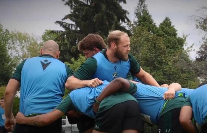 RUGBY. Terrible recaída después de sólo tres partidos de Top 14 para Mickaël Capelli (Pau)