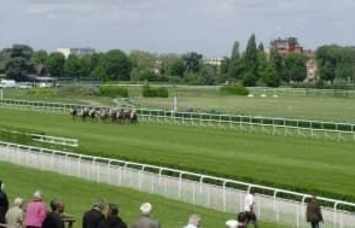 Predicciones de carreras de caballos para el jueves 14 de noviembre de 2024