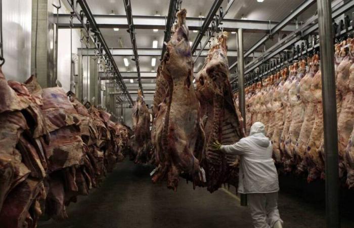 Al no poder demostrar que su carne no contiene hormonas, Brasil suspende sus exportaciones