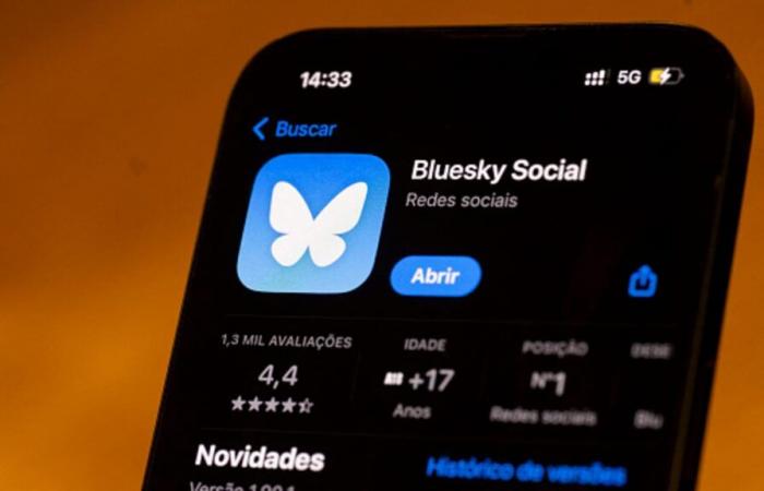 El rival de X, Bluesky, gana 1,25 millones de usuarios tras las elecciones estadounidenses