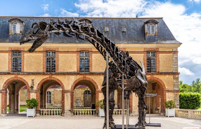 Vulcano, el dinosaurio más grande vendido en subasta este sábado 16 de noviembre en Dampierre-en-Yvelines