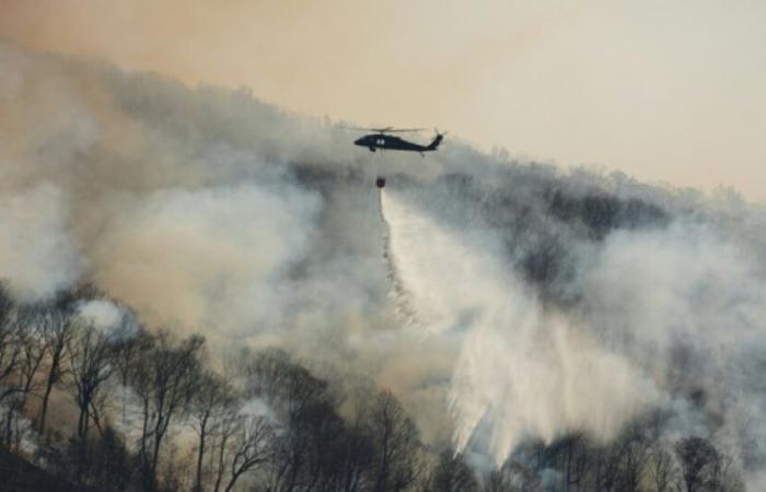 Más incendios, menos agua: la región de Nueva York presa de una grave sequía: Noticias