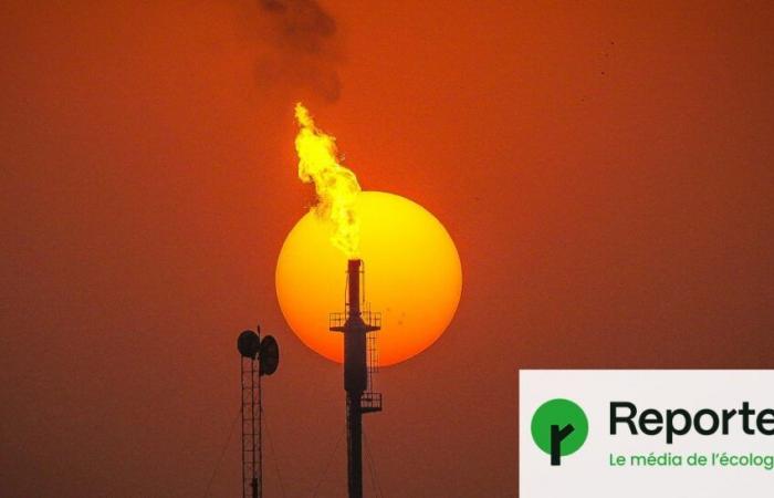 En 2024 nunca habíamos consumido tanto petróleo, carbón y gas