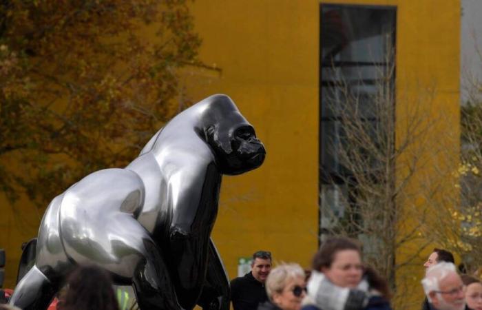 Ha llegado el día de los animales monumentales.