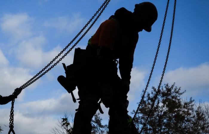 Permisos de construcción en Montreal | Un plazo máximo de 120 días a partir de enero