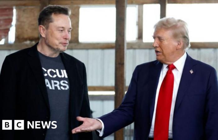 Trump elige a Elon Musk para asesorar sobre cómo “desmantelar” la burocracia