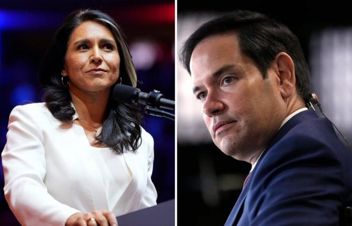 Trump nombra a Marco Rubio secretario de Estado y a Tulsi Gabbard directora de inteligencia nacional