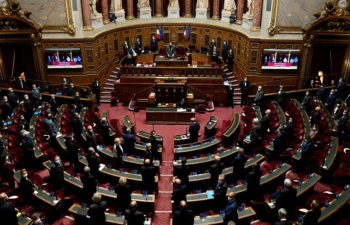 El Senado lanza su maratón presupuestario, con las cartas en la mano: Noticias