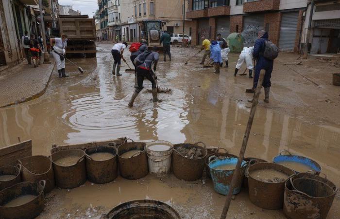 Inundaciones en España: falsos miembros de la Cruz Roja pidiendo donaciones, robo de datos con mensajes fraudulentos, las autoridades hacen sonar la alarma