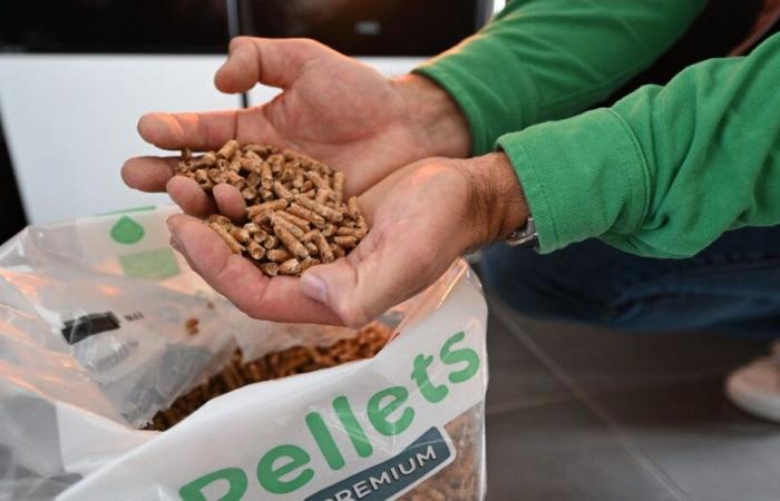 La asociación Tarn pellets-gránulos quiere crear una fábrica de producción de pellets