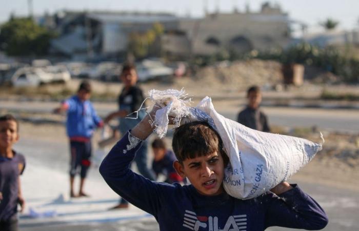 Franja de Gaza | ¿Por qué la ayuda humanitaria está llegando lentamente?