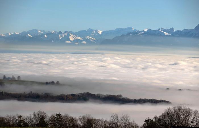 Clima: omnipresente, la niebla se ha apoderado