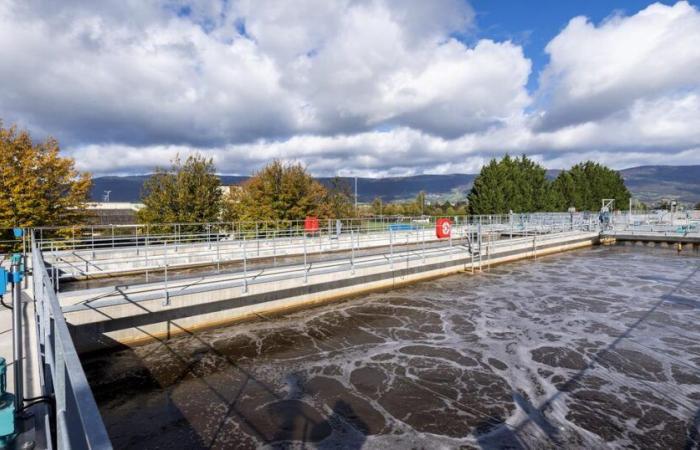 Lanzamiento de un proyecto piloto para la reutilización de aguas residuales tratadas en Yverdon – rts.ch