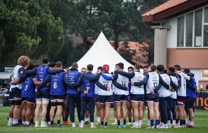 EN VIVO – ¡Un jugador del Toulouse resultó gravemente herido durante un entrenamiento del XV francés!