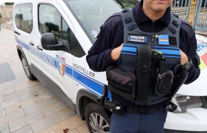 Un octogenario desfigurado y dado por muerto en plena calle en Montpellier