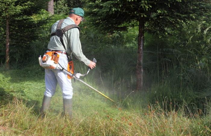 ¿Qué 91 municipios se ven afectados por la tala de arbustos en Aveyron?