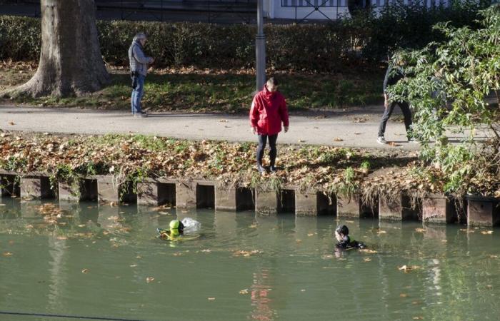 Tolosa. Pescado en el Canal du Midi, un hombre entre la vida y la muerte