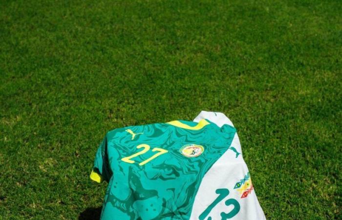 Los Leones posan con las nuevas camisetas de local y visitante de Senegal para 2025 (Fotos)