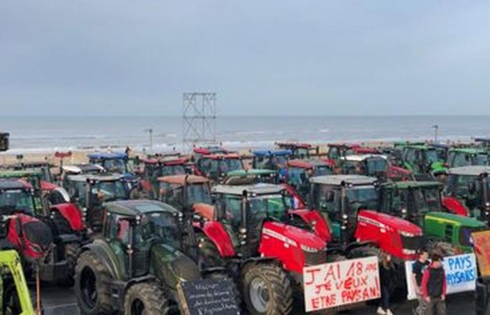 Los agricultores se preparan para manifestarse nuevamente en Hauts-de-France.