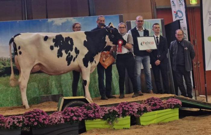 Ganadores del concurso departamental de Orne 2024