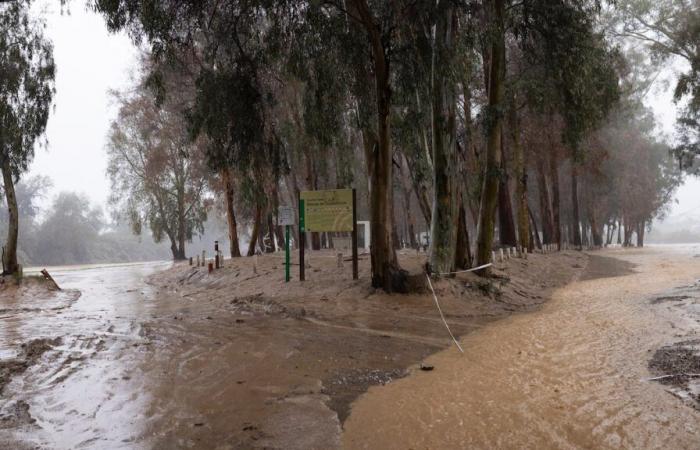 Última hora de la dana, en directo | Más de 3.000 desalojados en Málaga, donde la nueva dana obliga a cortar el AVE con Madrid e inunda el hospital Clínico | España