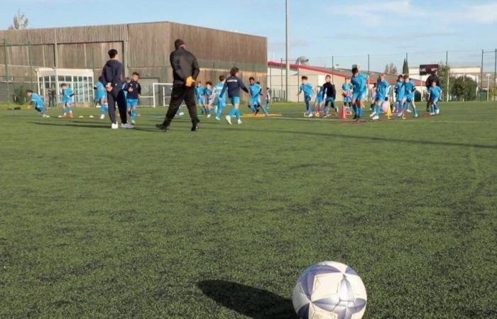 VIDEO. Cuando los padres de jugadores de pequeños clubes de fútbol atacan a los educadores