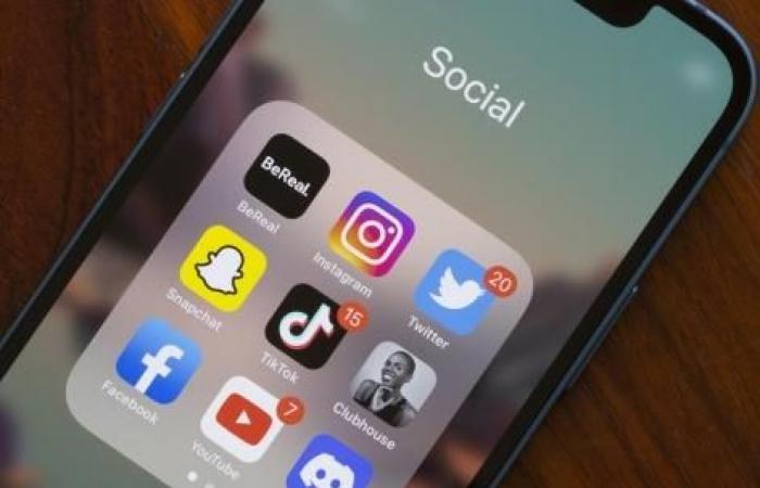 El 81% de los remedios promocionados en TikTok son falsos