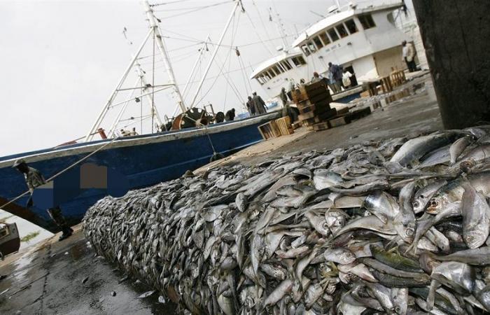 LA UE “HUNDE” AGUAS SENEGALESAS