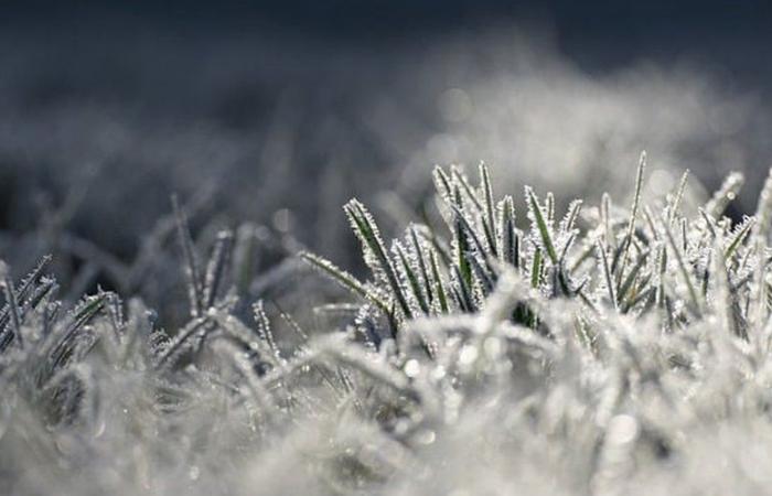 Clima: el frío golpeó Aveyron este miércoles por la mañana, se registraron temperaturas negativas en el departamento